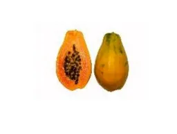 Papaya