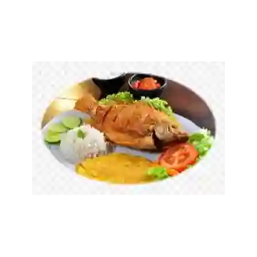 Tilapia O Mojarra