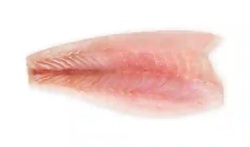 Antillana Róbalo en Filete