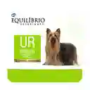 Equilibrio Veterinary Urinary Alimento para Perro 
