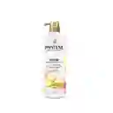 Pantene Shampoo Keratina Sin Sal