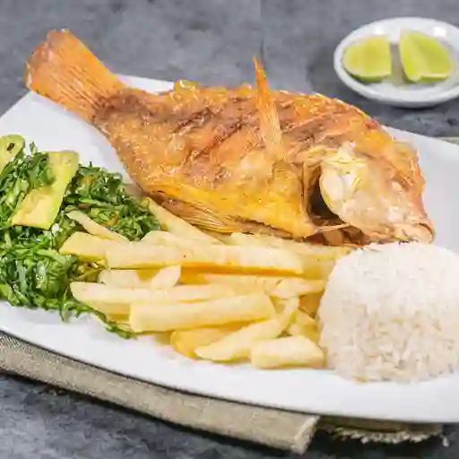 Mojarra Frita