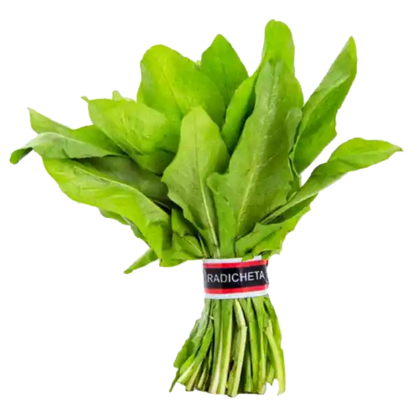 Achicoria
