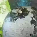 Troika Globo Terráqueo Inclinado Negro / Plata