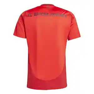 Adidas Camiseta Bayern Munich Hombre Rojo Talla S Ref: IT8511
