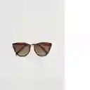 Gafas De Sol Bea Chocolate Talla 99 Mujer Mango