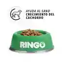 Ringo Alimento Para Perro Original Cachorros