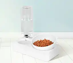 Comedero Para Gato Cara de Gato Dispensador de Agua S