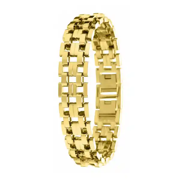 Invicta Pulsera Elements Dorado 30339