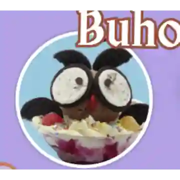 Buho