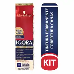 Igora Tinte Para Cubrir Canas