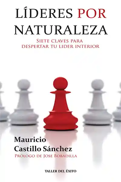 Líderes Por Naturaleza - Castillo Sánchez Mauricio