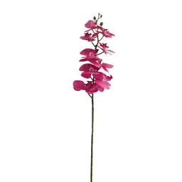 Orquidea Gio Home 3d Rosa