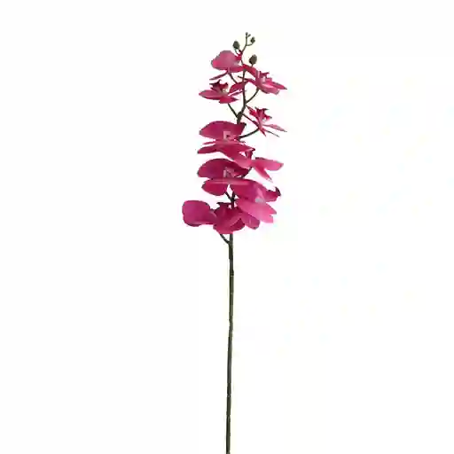 Orquidea Gio Home 3d Rosa
