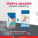 Comida para gatos EXCELLENT Urinary Cat x 3kg
