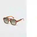 Gafas De Sol Marta Chocolate Talla 99 Mujer Mango