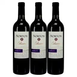 Norton Vinomerlot X750 Ml 2X3