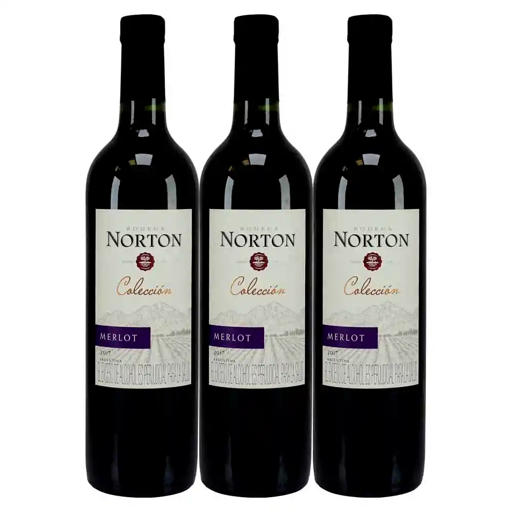 Norton Vinomerlot X750 Ml 2X3