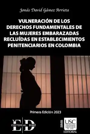 Vulneración de Los Derechos Fundamentales de Las Mujeres Embarazadas Recluidas en Establecimientos Penitenciarios en Colombia