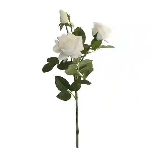 Rosas Gio Home Blanco 3 Und