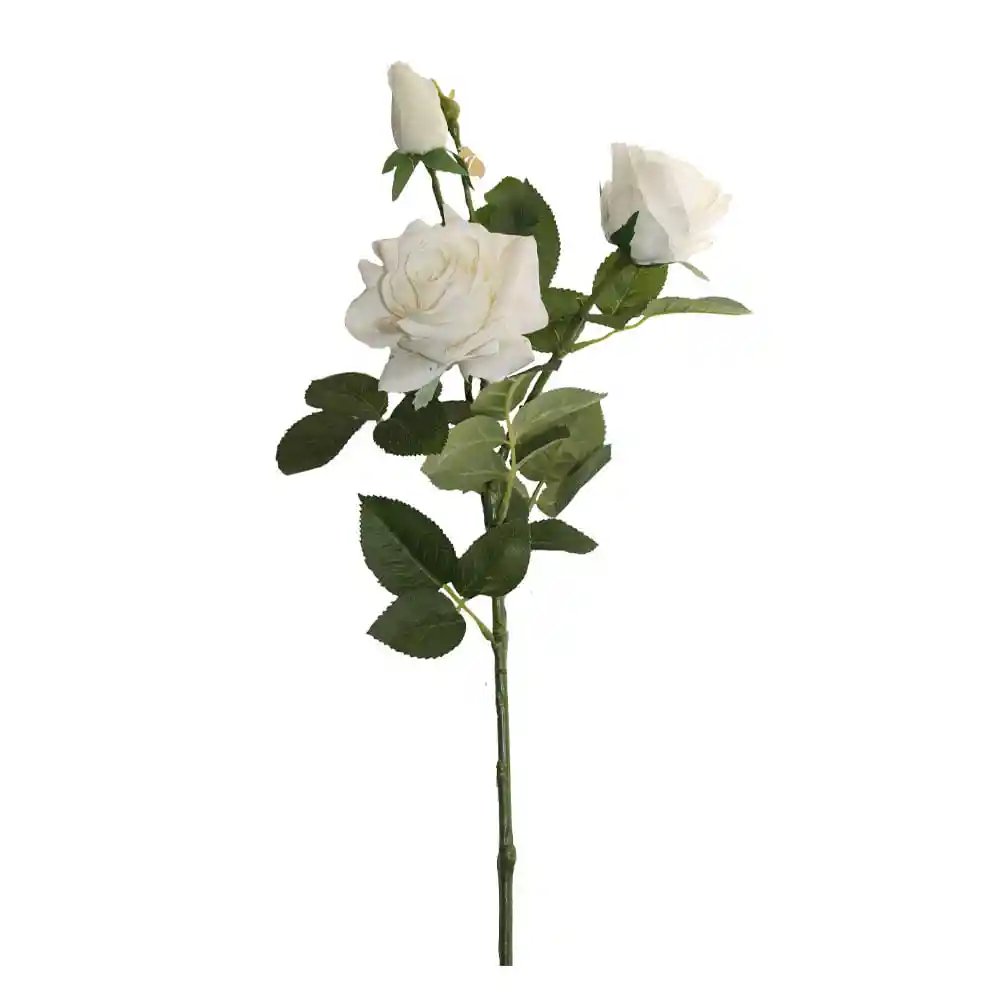 Rosas Gio Home Blanco 3 Und