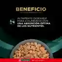 Comida para perro Purina Pro Plan Veterinary Diets EN Dietas Gastroentérico x 7,5kg
