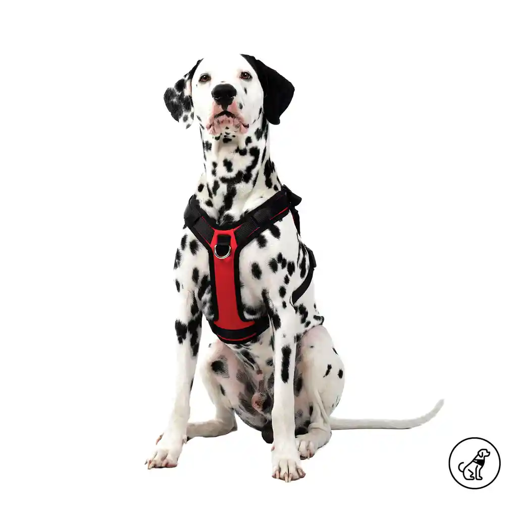 Arnés Pechera Para Perro Rex M Rojo