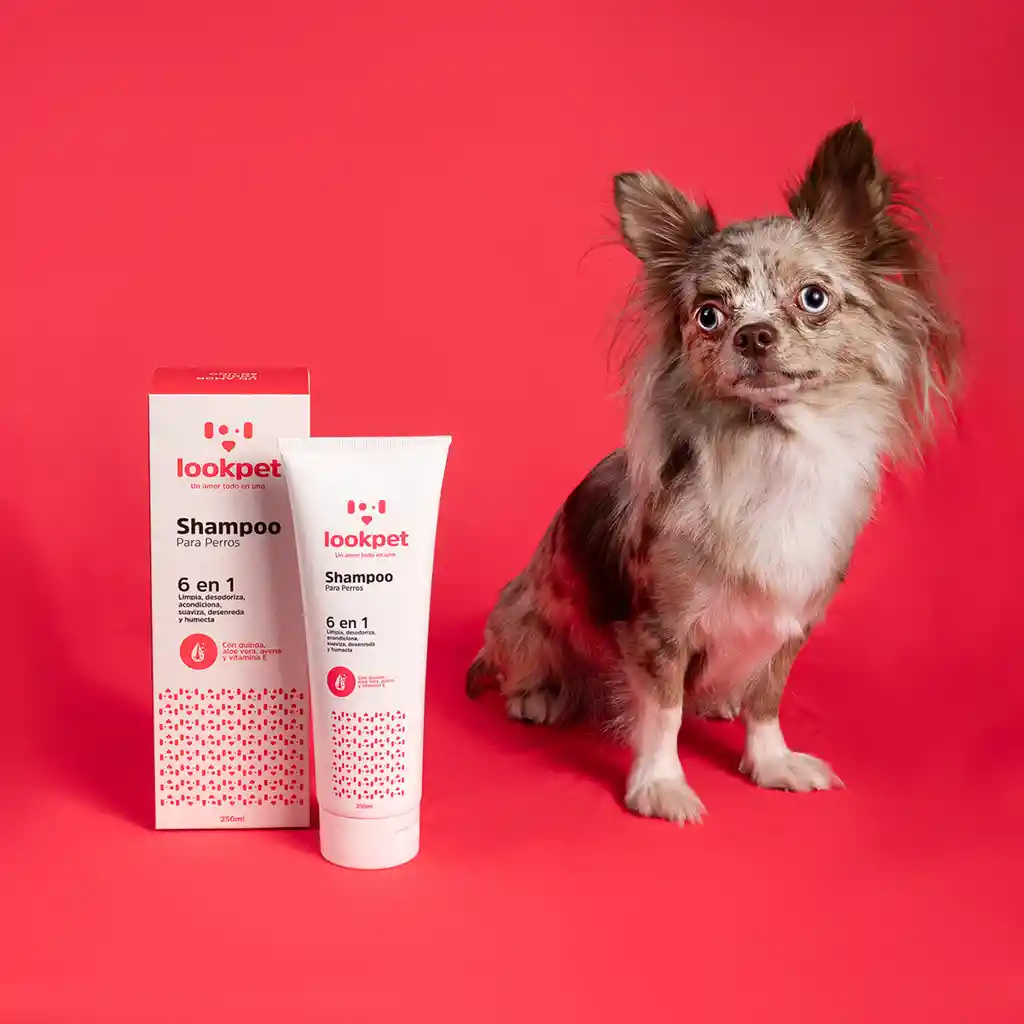 Lookpet Shampoo Para Perros 6 En 1 - 250ml