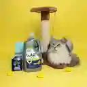 LuloPet Detergente Premium Lava Ropa Para Mascotas 3Lt