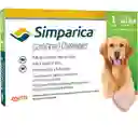 Simparica Antiparasitario Uso Externo para perro 80 Mg 1 Tableta