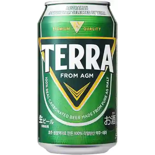 Cerveza Terra 355 ml