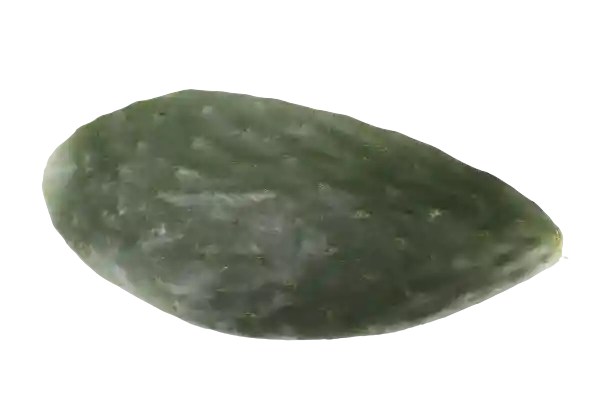 Nopal (Hoja Higo)