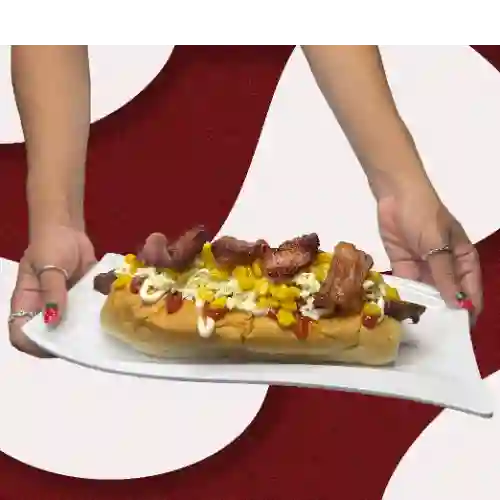 Choriperro Especial