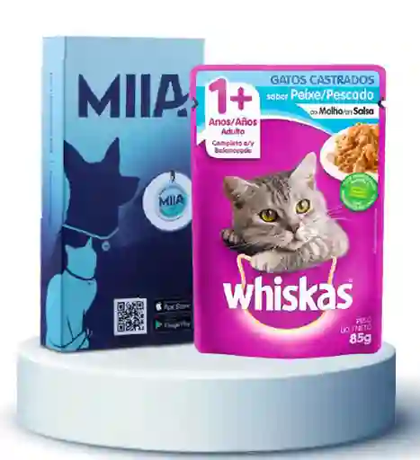 Combo Miia + Whiskas Pescado Gatos Castrados