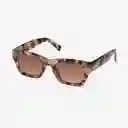 B+D Gafas de Sol Oure Ivory Carey