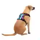 Arnés Pechera Para Perro Rex M Azul/rosado/naranja