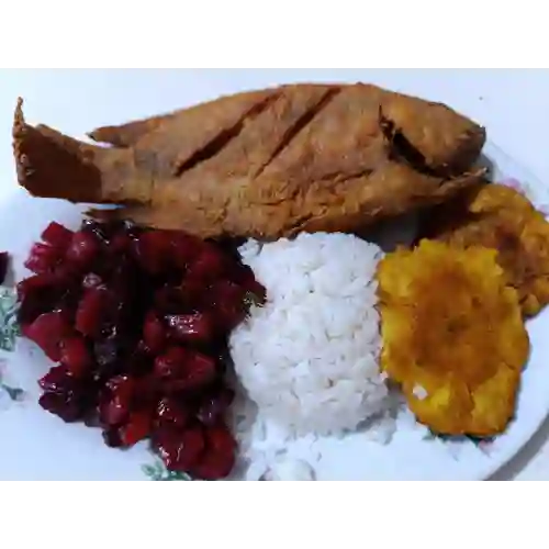 Tilapia's