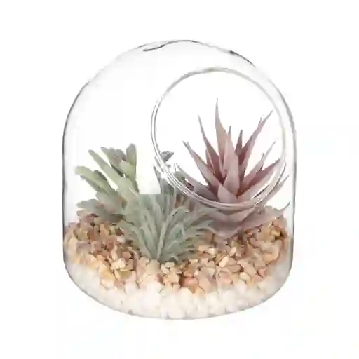 Maceta Cactus de Vidrio