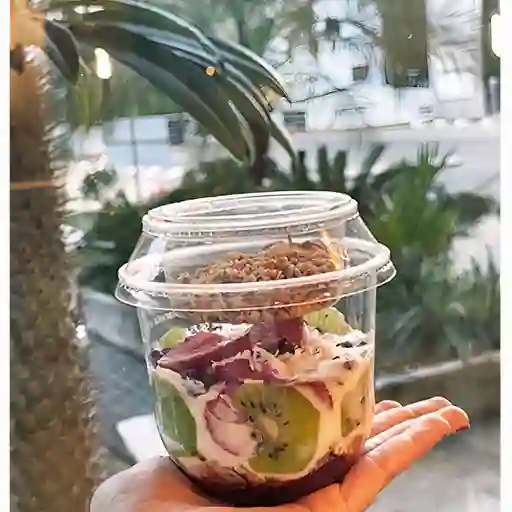 Parfait Silvestre