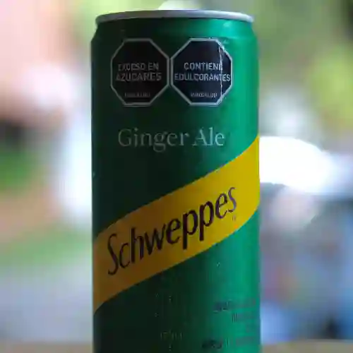 Ginger Ale 269 ml