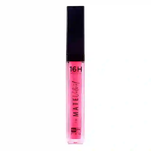 Labial Sp Pro (4 Gr)