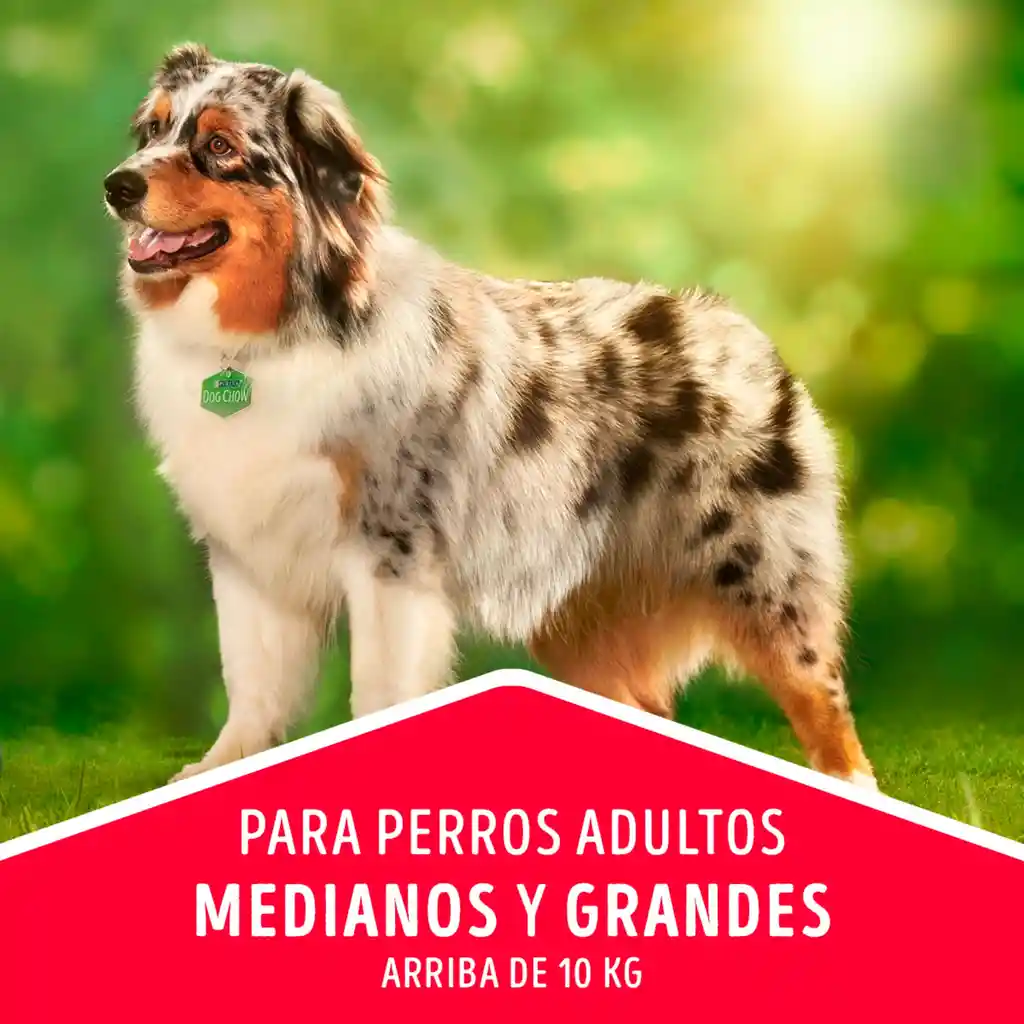 Comida para perro Dog Chow Adulto medianos y grandes x 17 kg