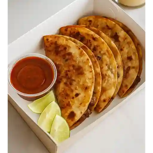 Queso birria pollo