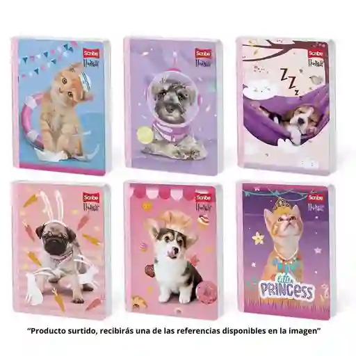 Scribe Cuadernos 