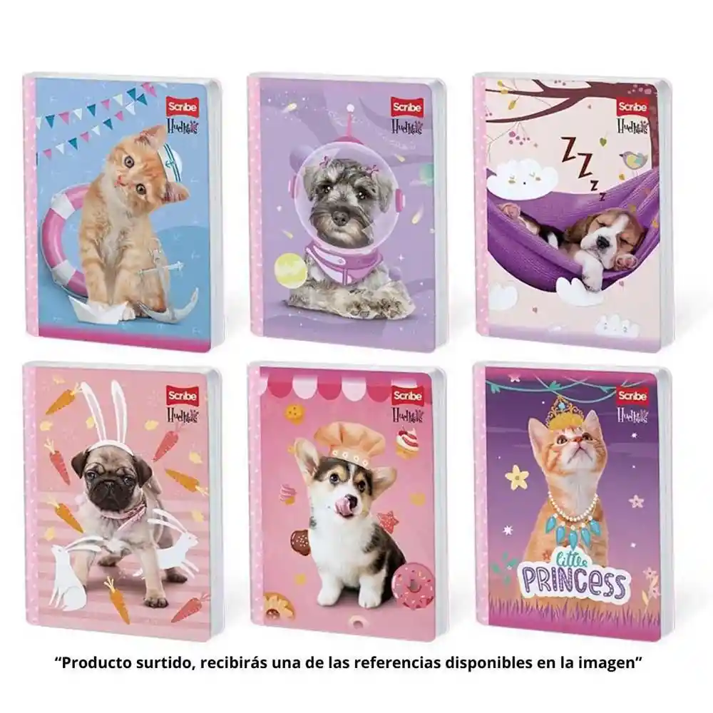 Scribe Cuadernos 