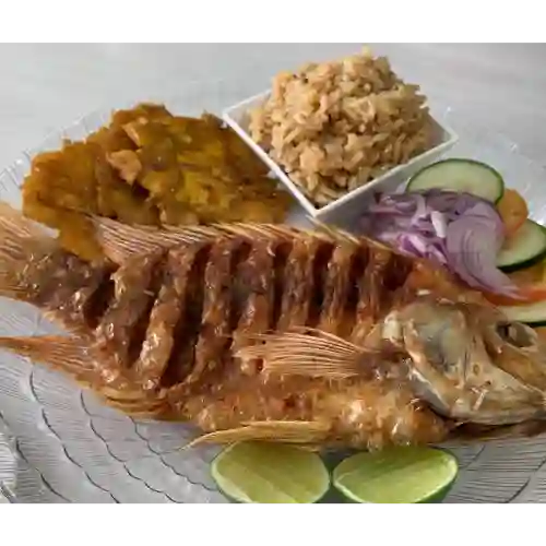 Mojarra Lora