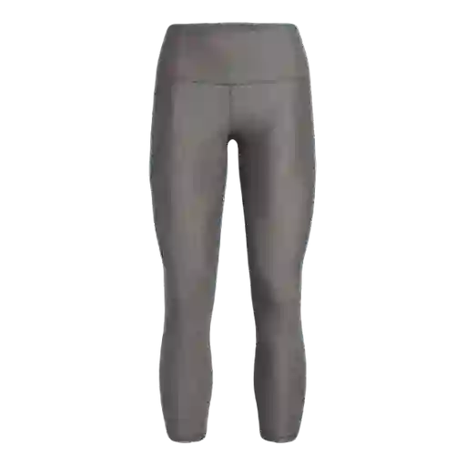 Under Armour Pantalón Tech Hi Ale Leg Gris 1365335-020