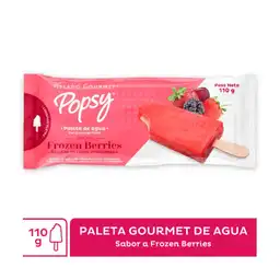 Paleta Agua Frozen Nieve 110 g