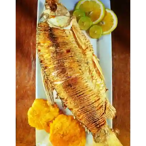 Bocachico Frito