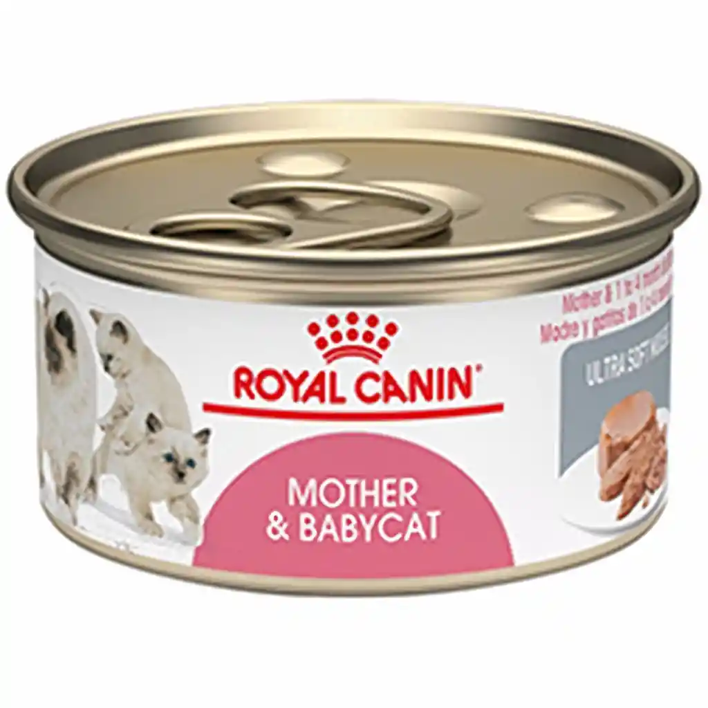 Royal Canin Alimento para Gatos
